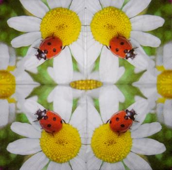 116 Marienkäfer - 4-lagig - Paper Design - Taschentuch